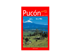 PUCON SOUVENIR