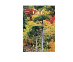 CILE ESPAÑOL ITALIANO