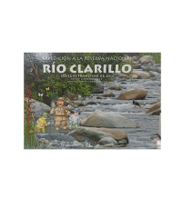 RIO CLARILLO