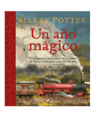 UN AÑO MAGICO