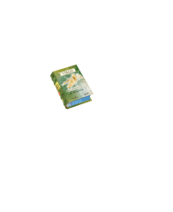 VIRGO
