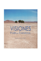 VISIONES PAMPA DEL TAMARUGAL