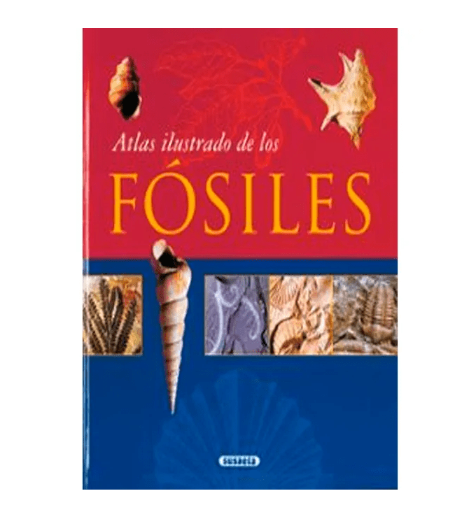 ATLAS ILUSTRADO DE FOSILES1