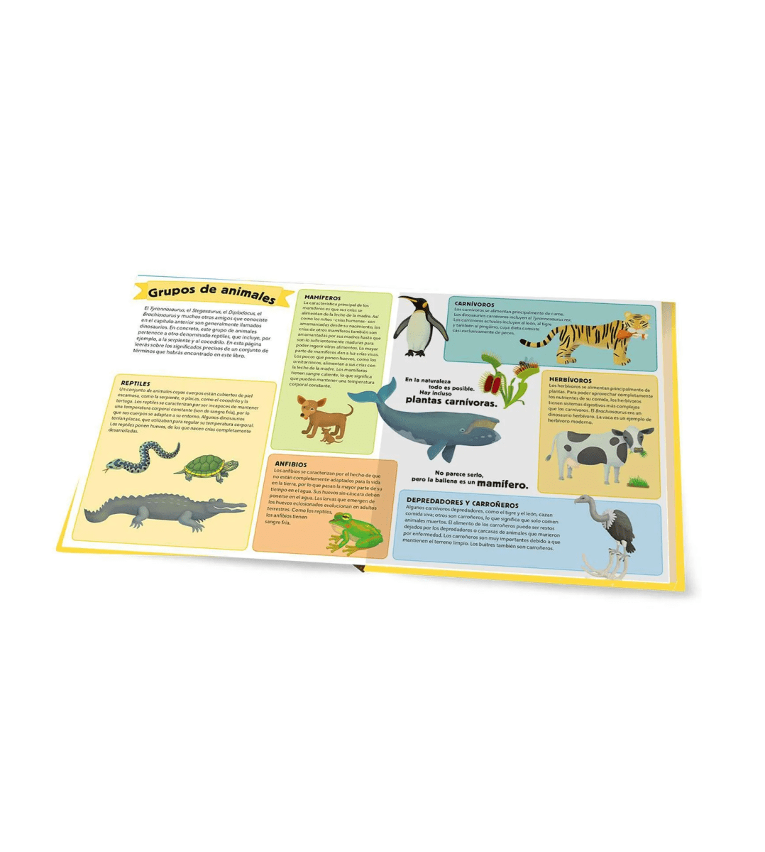 ATLAS DEL MUNDO PREHISTORICO4
