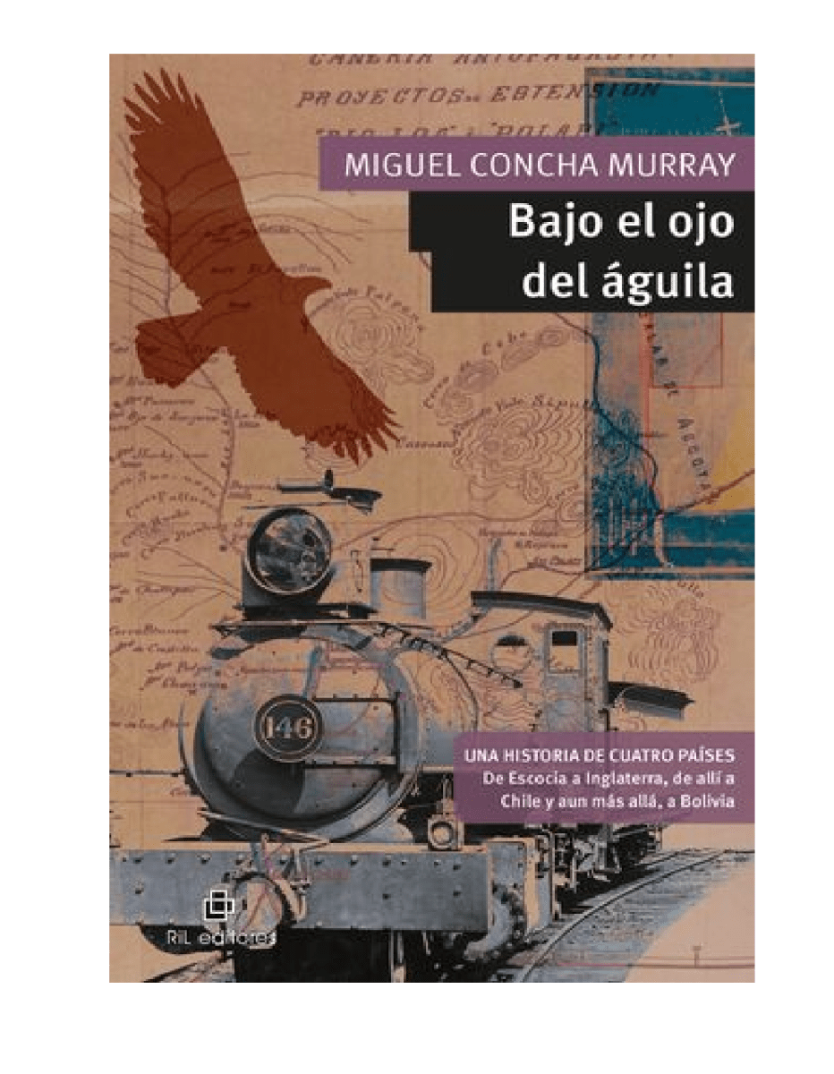 BAJO EL OJO DEL AGUILA1