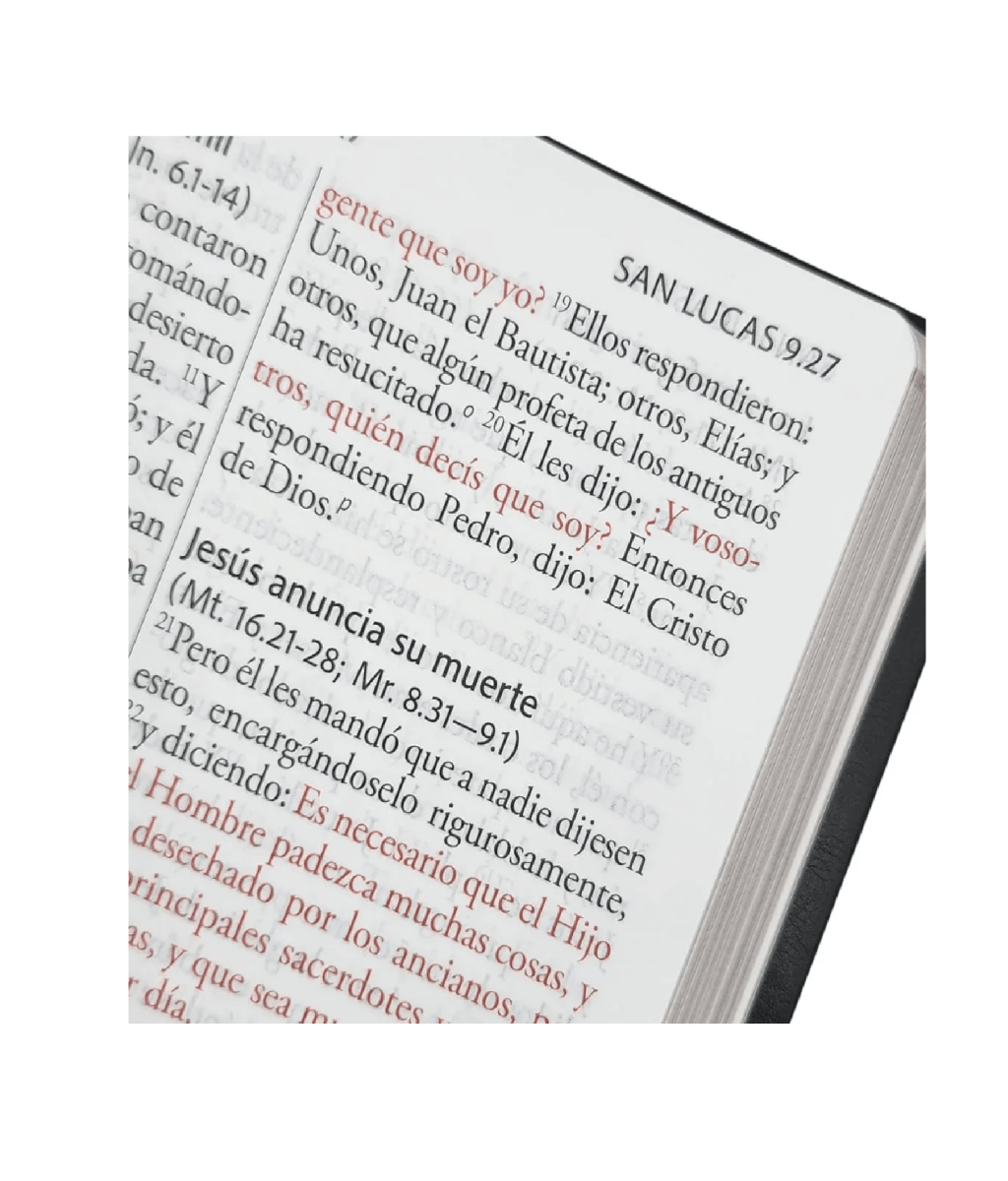 Biblia Reina Valera Revisada 1960 Letra Súper Gigante, Símil Piel Negro2