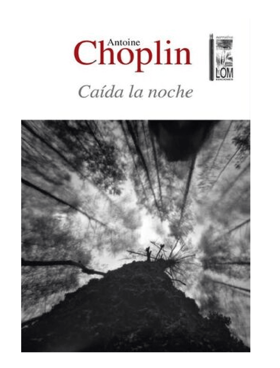 CAIDA LA NOCHE1