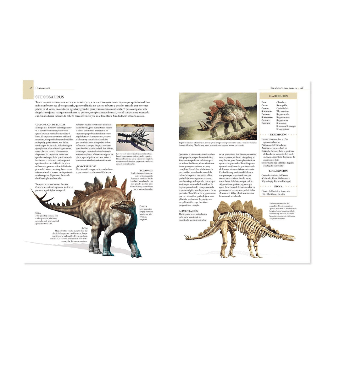 Enciclopedia Ilustrada de los Dinosaurios3