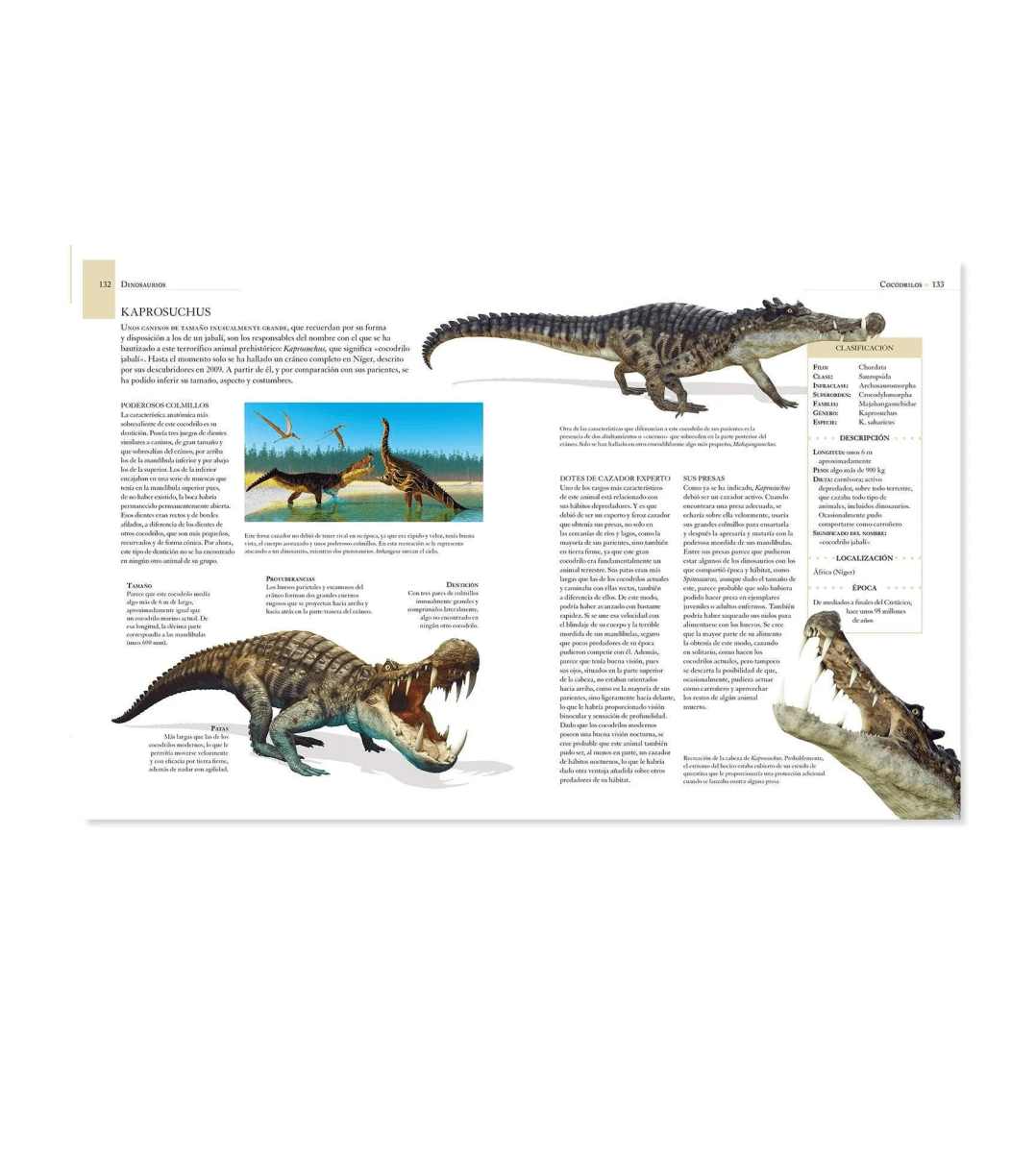 Enciclopedia Ilustrada de los Dinosaurios4