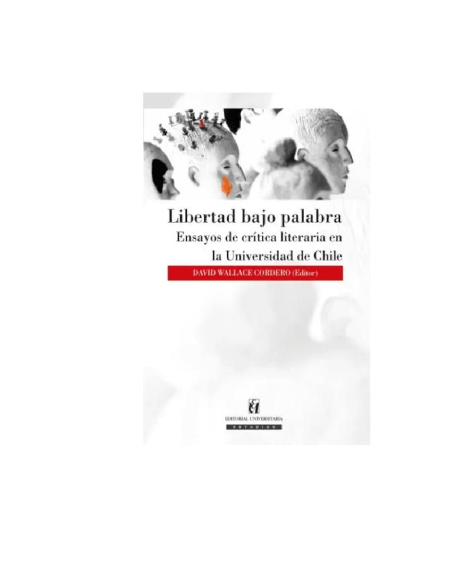 LIBERTAD BAJO PALABRA1
