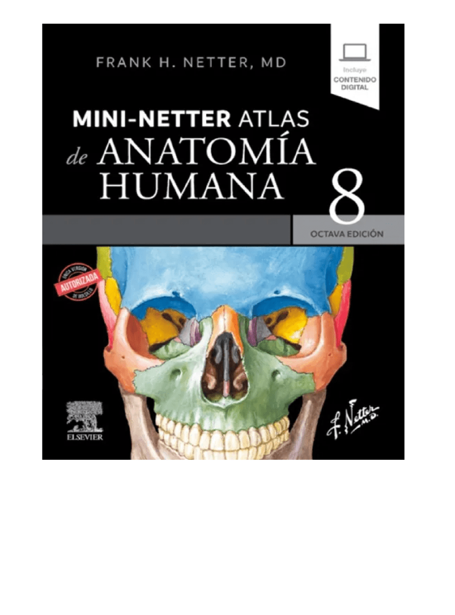 MINI NETTER. ATLAS DE ANATOMIA HUMANA1