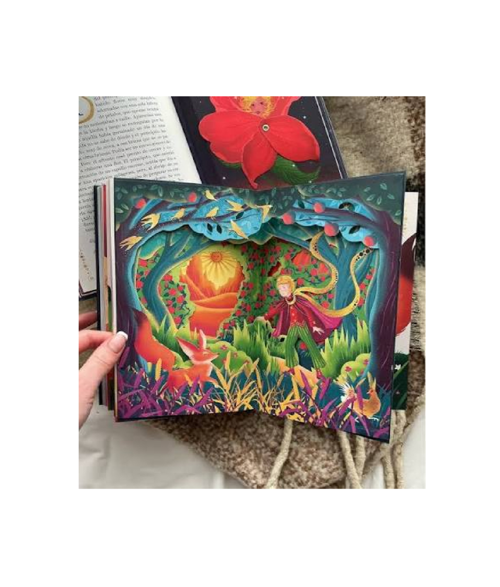 El Principito (edición ilustrada y animada por MinaLima)3