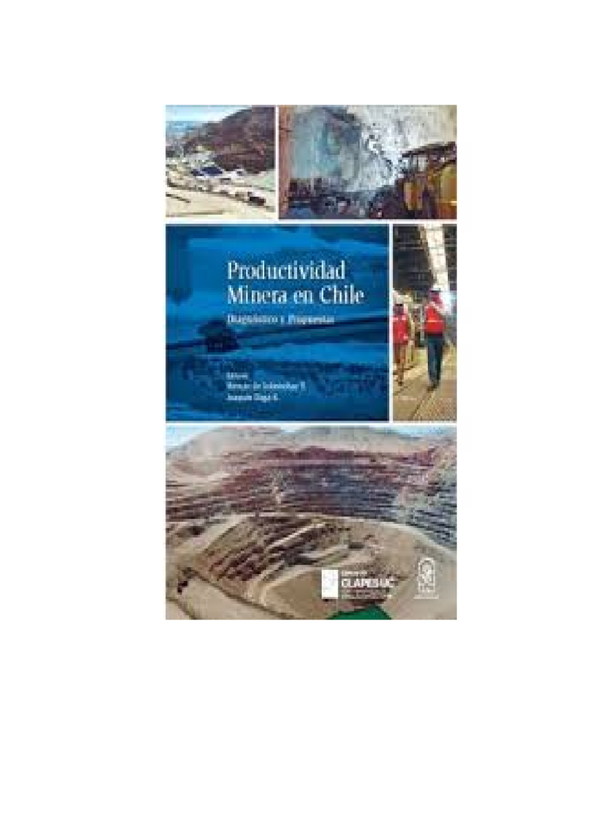 Productividad Minera en Chile: Diagnóstico y Propuestas1