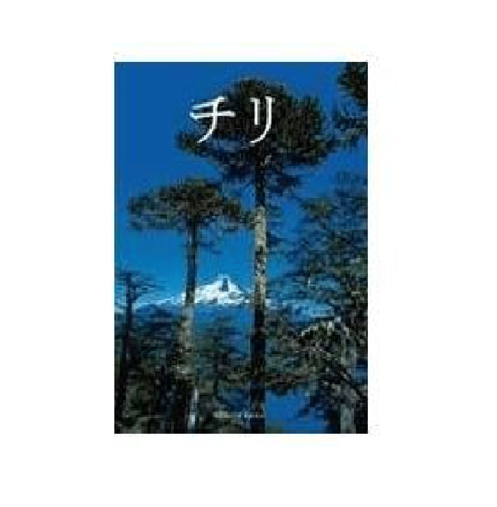 CHILE JAPONES1