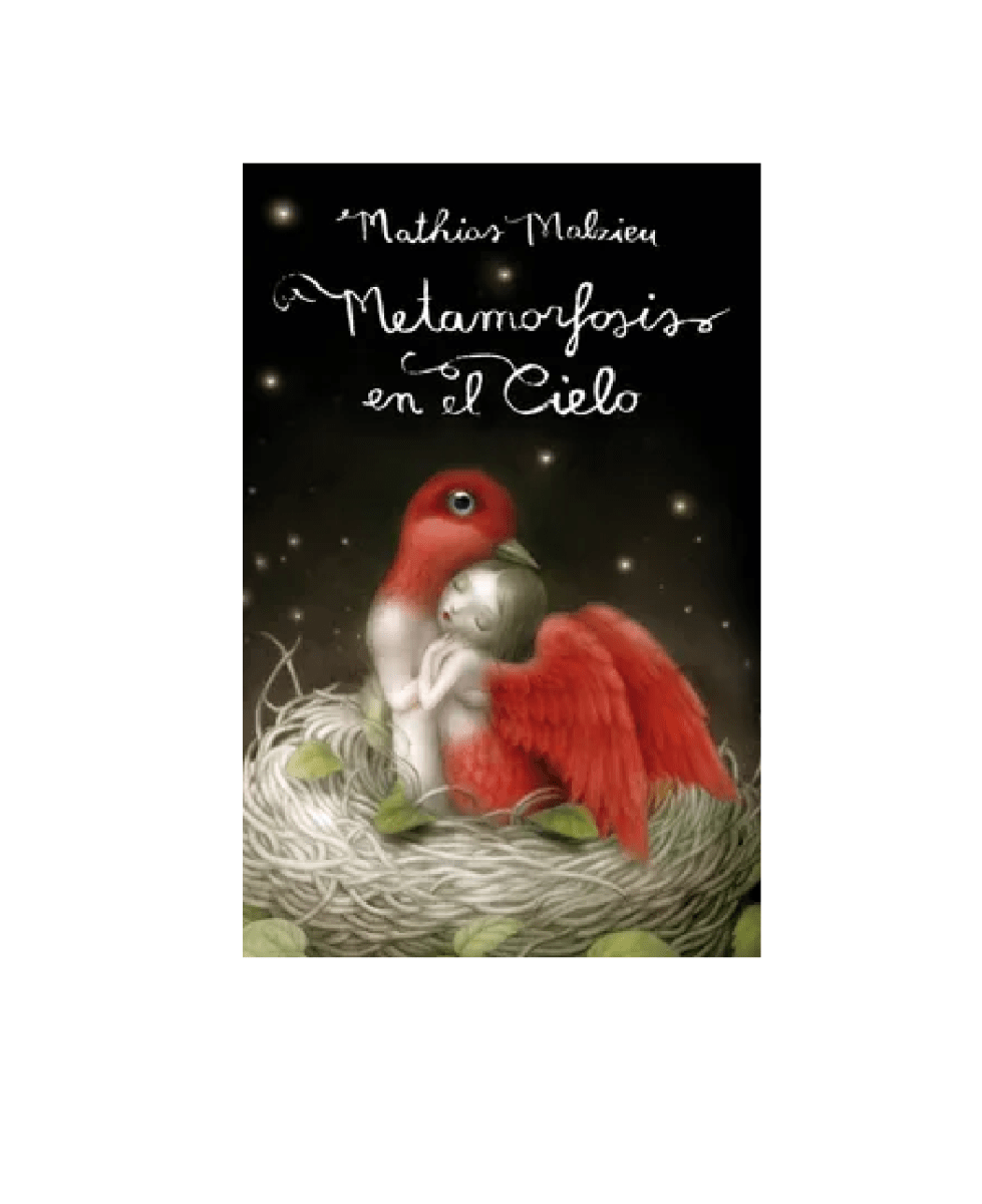 METAMORFOSIS EN EL CIELO (MATHIAS MALZIEU)1