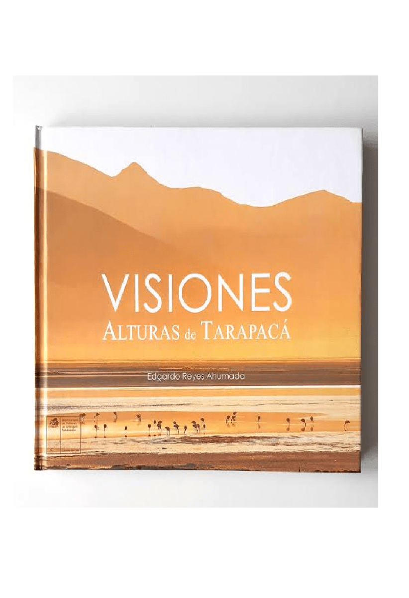 VISIONES ALTURAS DE TARAPACA1