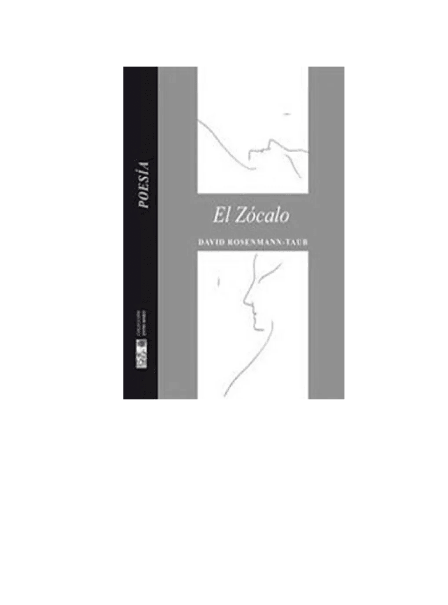 EL ZOCALO1