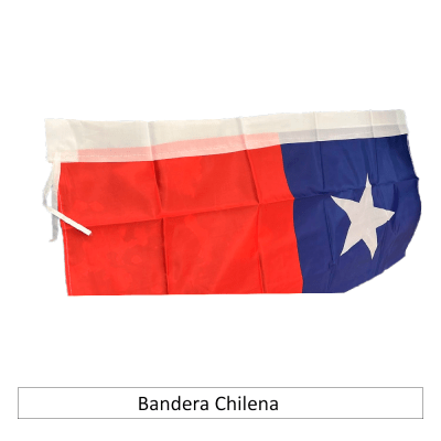 Bandera 80 x 120 cm