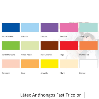 Latex Fast Tricolor x galon