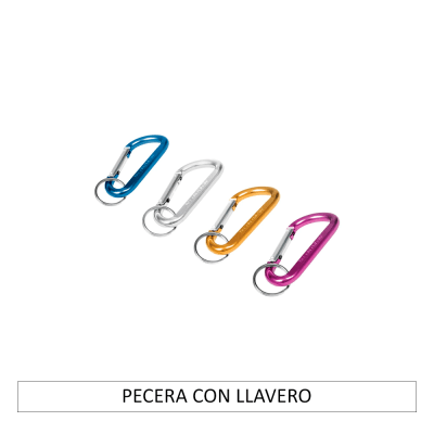 Pecera con llavero