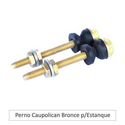 Perno Caupolican de bronce para estanque