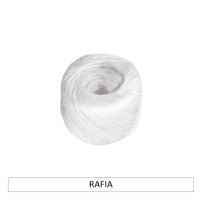 RAFIA