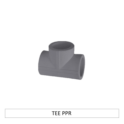 TEE PPR