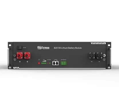 Batería Litio 24V 2.56kWh Dyness1