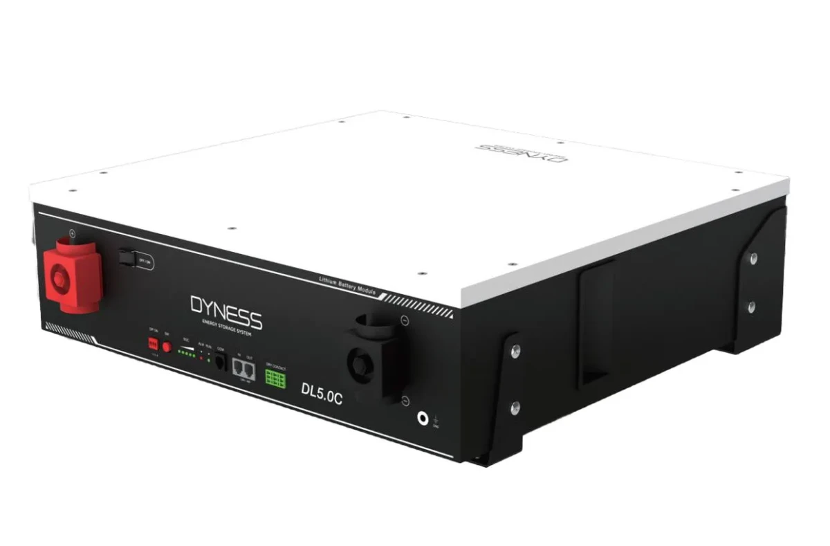 Batería de Litio 100Ah 5,12kWh Dyness DL5.0C1