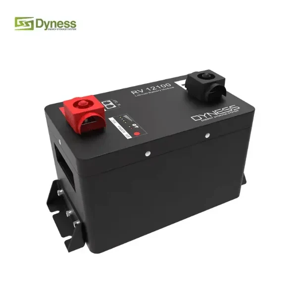 Batería de Litio 12V 100Ah BMS RV12100 Dyness1