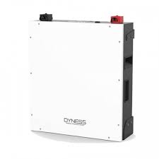 Batería de Litio 100Ah 5,12kWh Dyness DL5.0C2