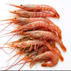 Langostino Argentino Crudo Entero Cal 16/20