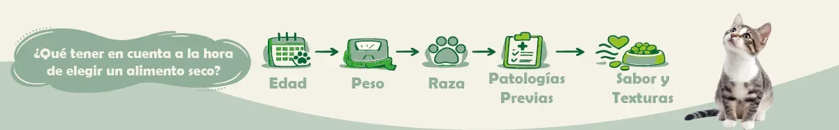 ALIMENTO SECO GATO
