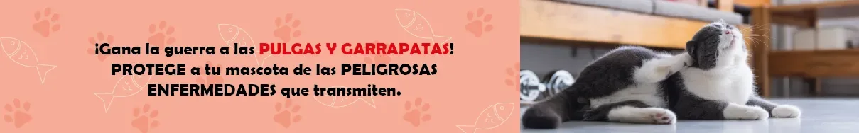 ANTIPULGAS GATO