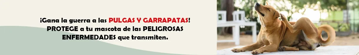 ANTIPULGAS PERRO