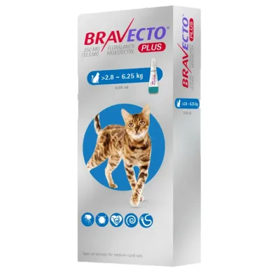 BRAVECTO PLUS 500MG (6.25 A 12.5KG) SPOT ON CATS1