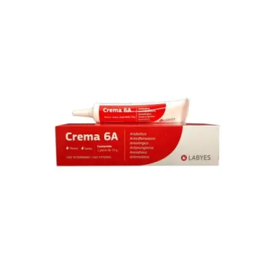 LAYBES CREMA 6A - 1 UNIDAD X 15GR1