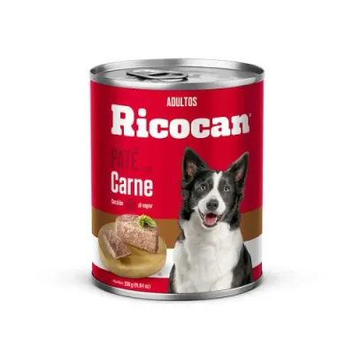 RICOCAN ADULTO PATHE CARNE 11OZ1