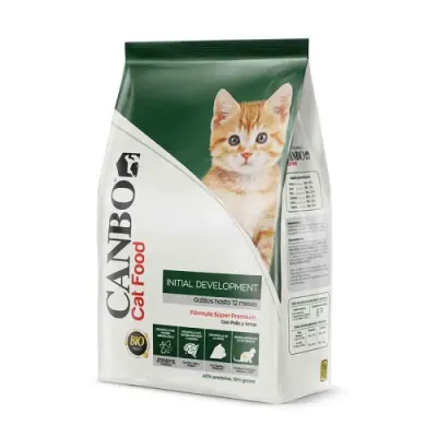 CANBO GATITOS DESARROLLO INICIAL / INITIAL DEVELOPMENT1