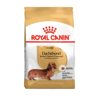 BHN DACHSHUND PUPPY CD 1.5KG1