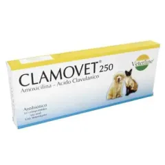 CLAMOVET 250MG/ AMOXICILINA ANTIBIOTICO