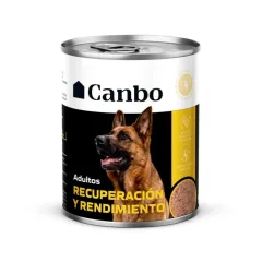 CANBO ENLATADO ENERGÉTICO 11.64OZ