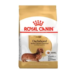 BHN DACHSHUND PUPPY CD 1.5KG