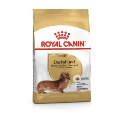 BHN DACHSHUND ADULT CD 1.5KG