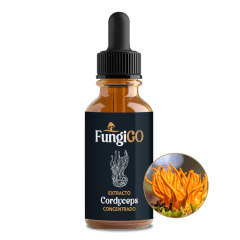 Extracto de Cordyceps Militaris