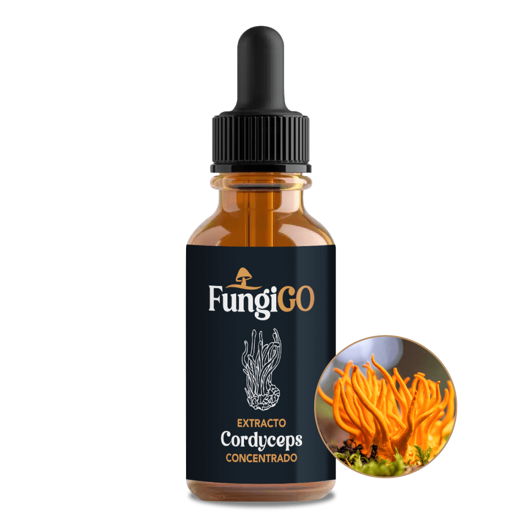 Extracto de Cordyceps Militaris1