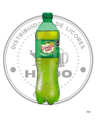 BEBIDA GINGER ALE 600 CC