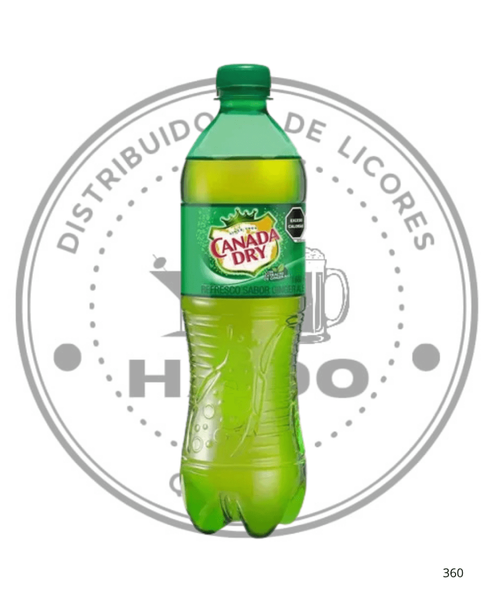 BEBIDA GINGER ALE 600 CC1