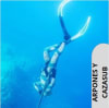 ARPONES Y CAZASUB