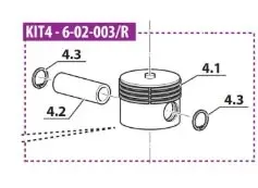 KIT PISTON DE 2° ETAPA COLTRI 6-02-003/R
